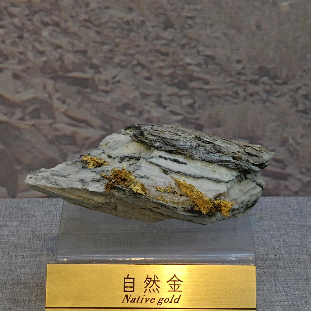 被解救的野戈