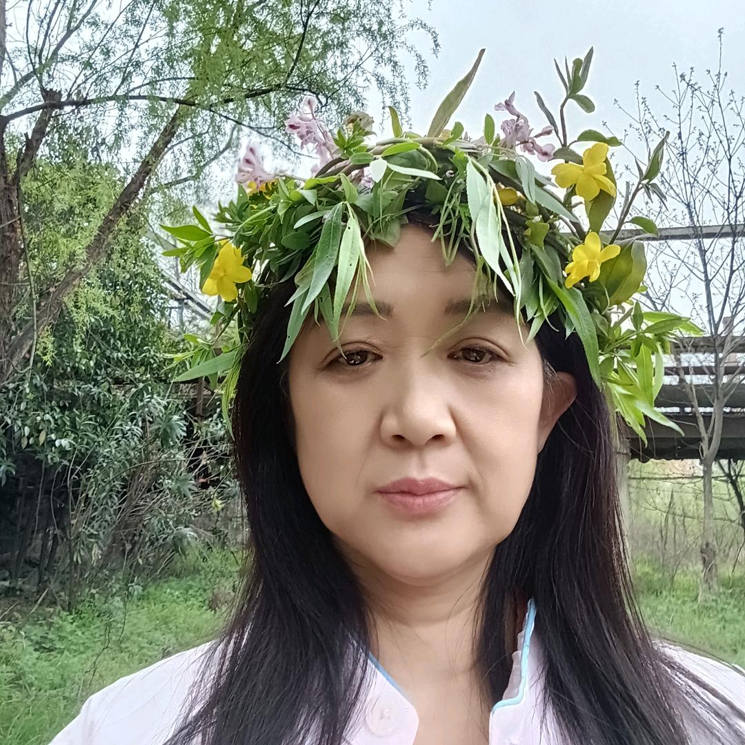 🌺柳岸花🌺