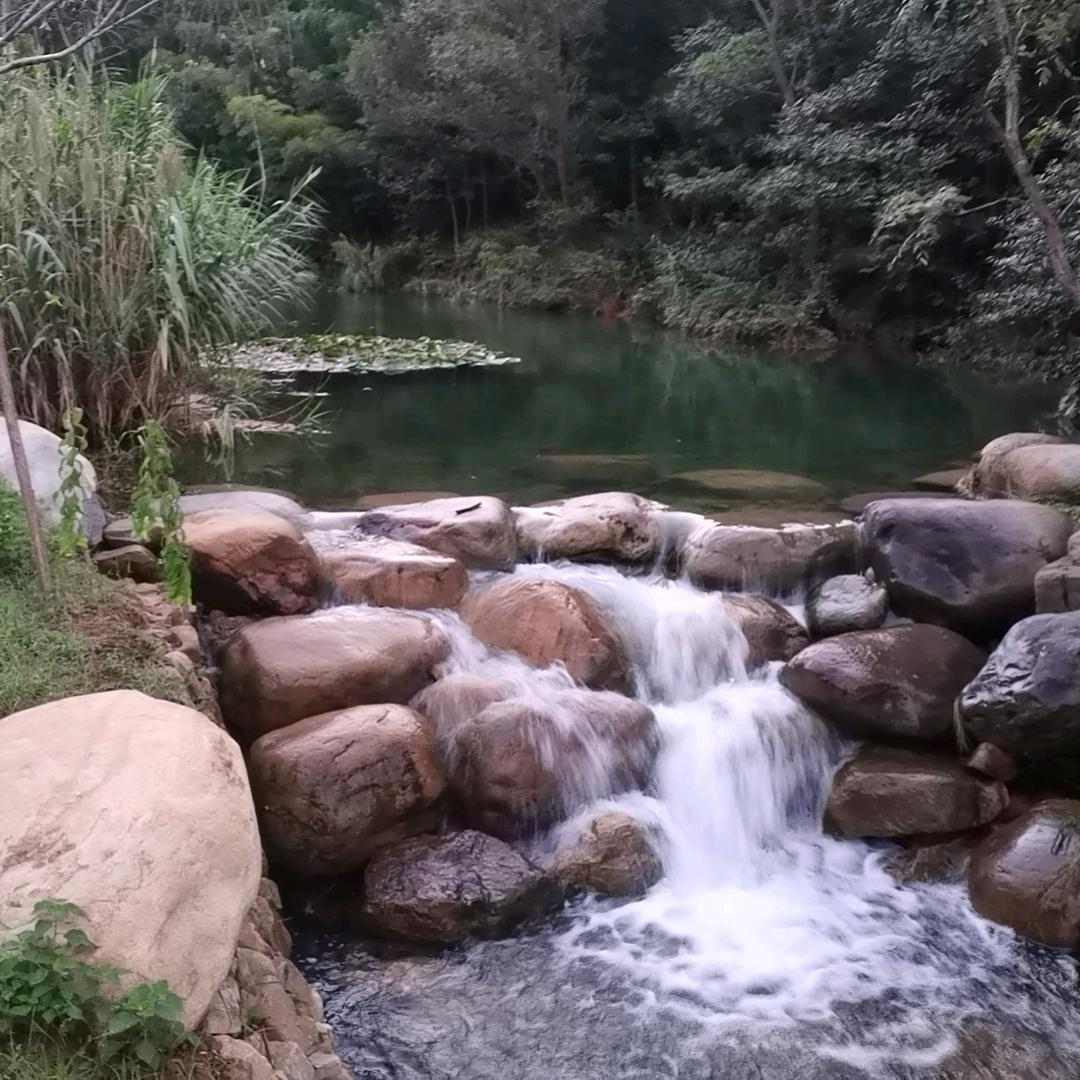 前沿金属