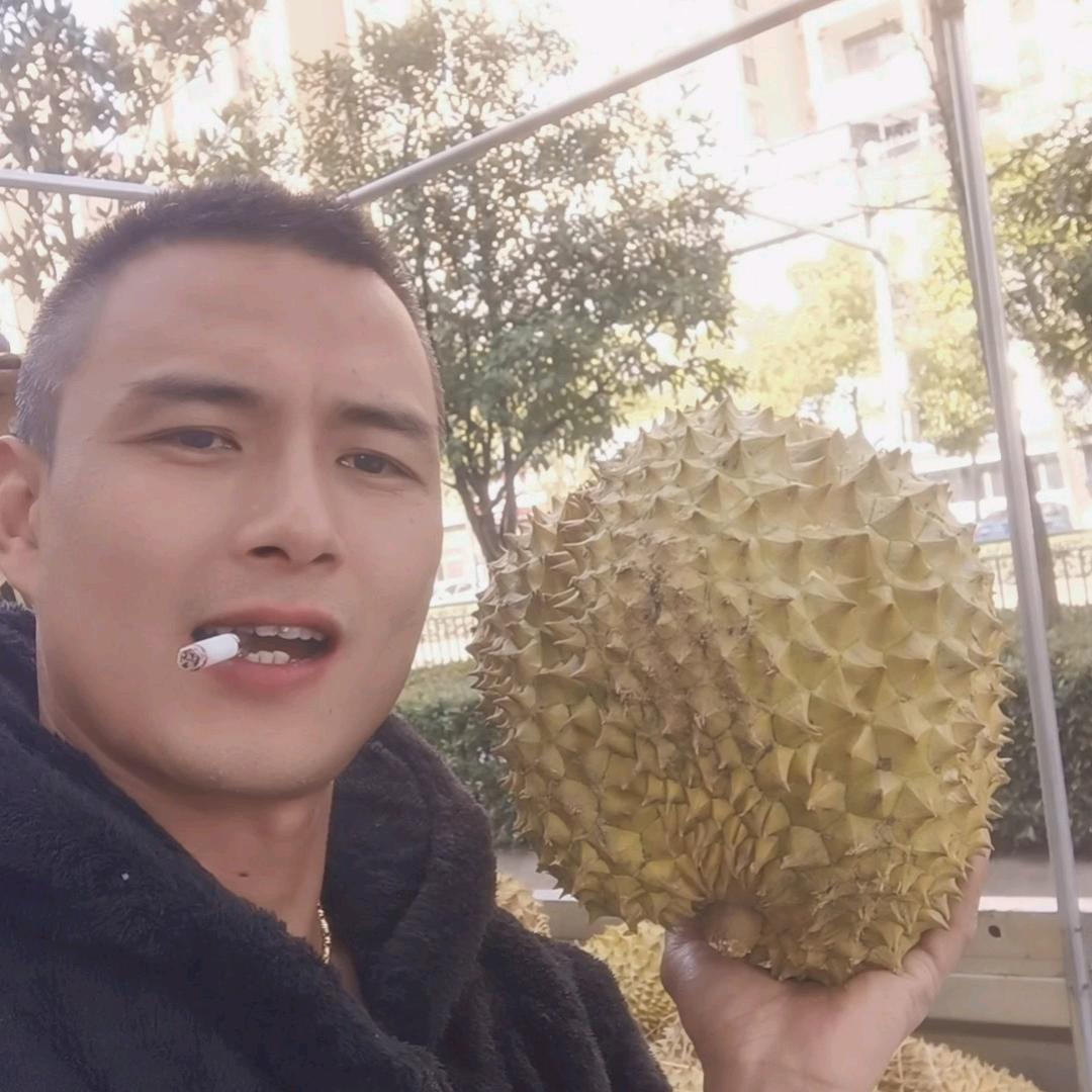 呆哥