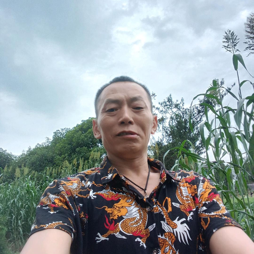 单身情歌