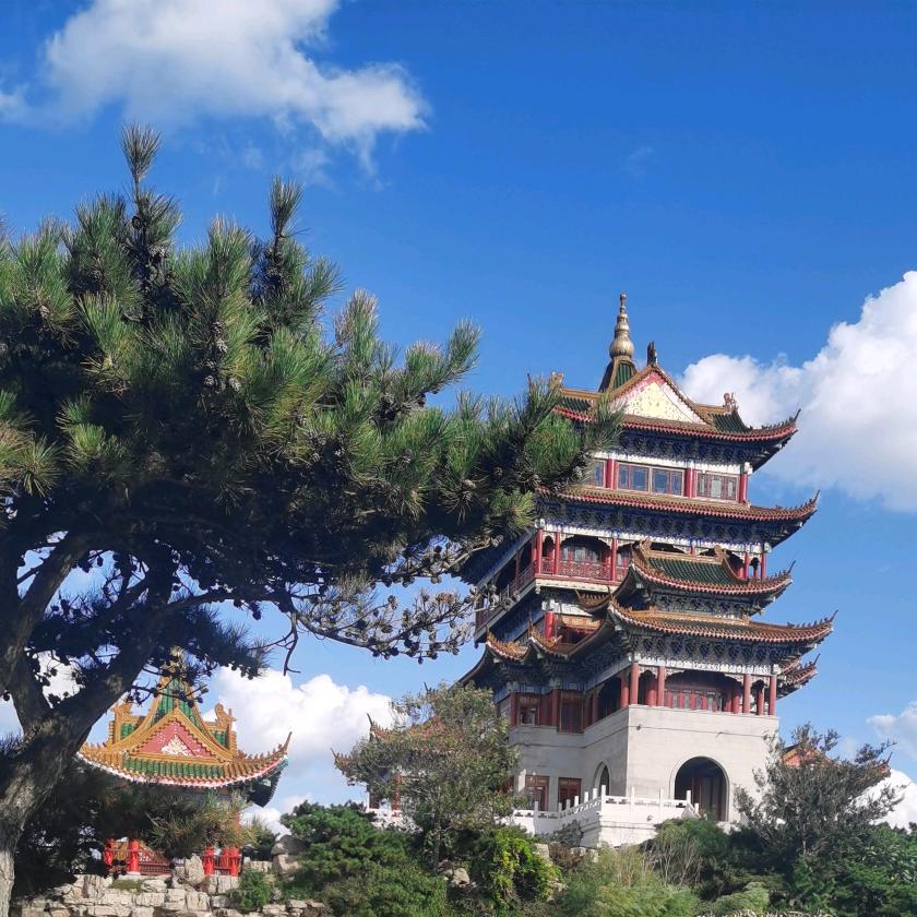 木木（阳光物流）