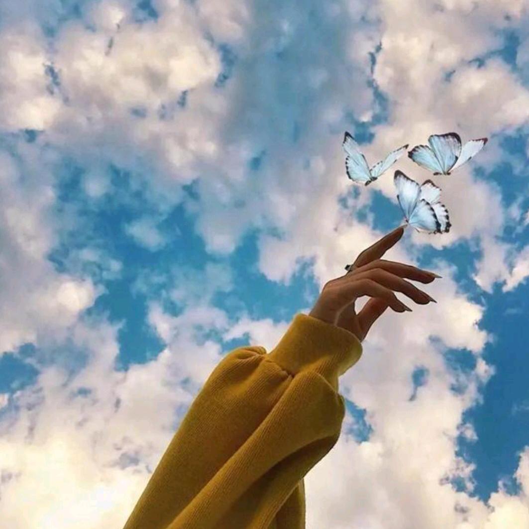 🦋ꦿ໊余生᭄🕊随心᭄ꦿᩚ٭