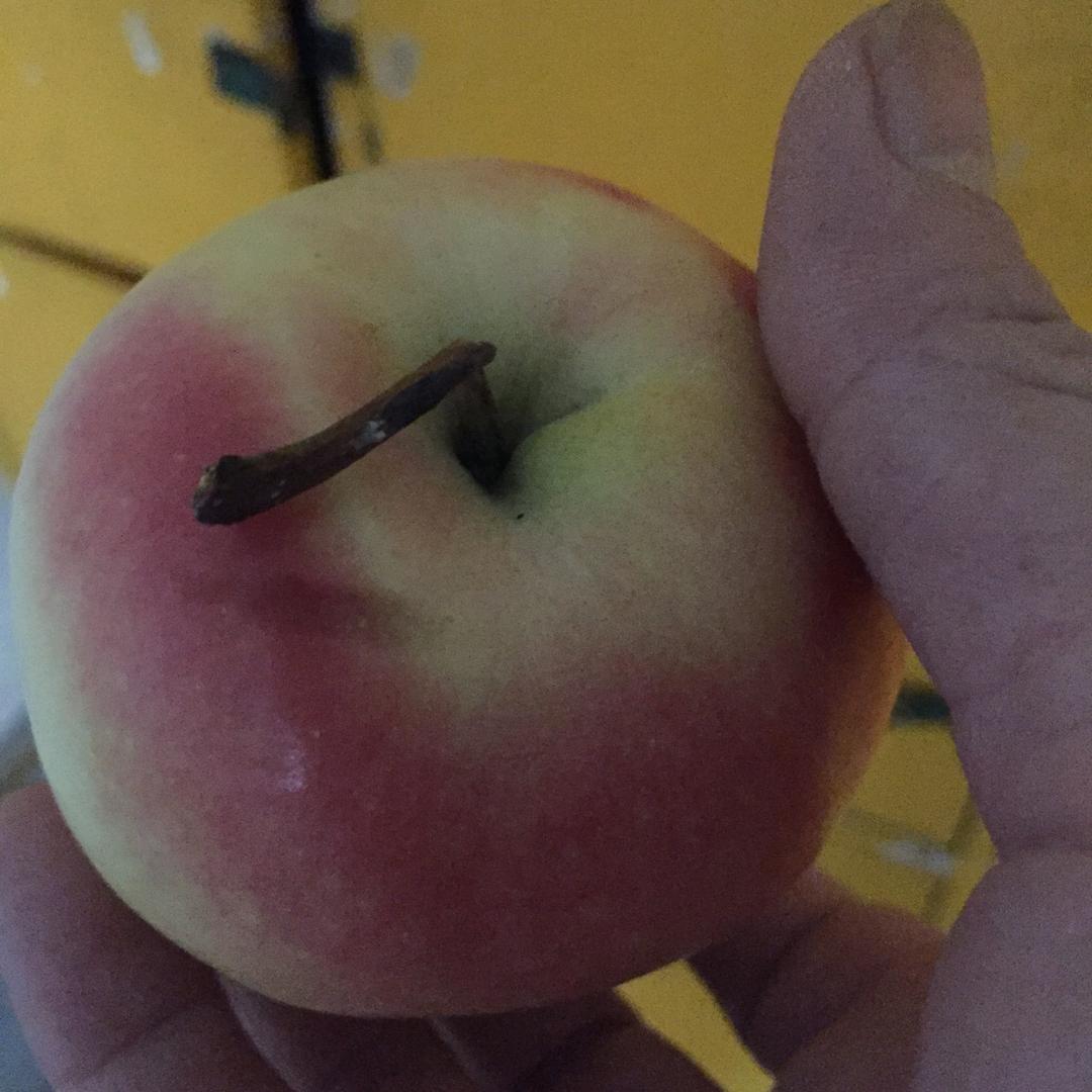 王建水产小龙虾批发