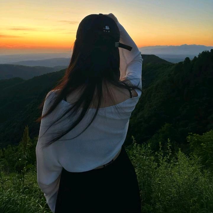 忘忧草
