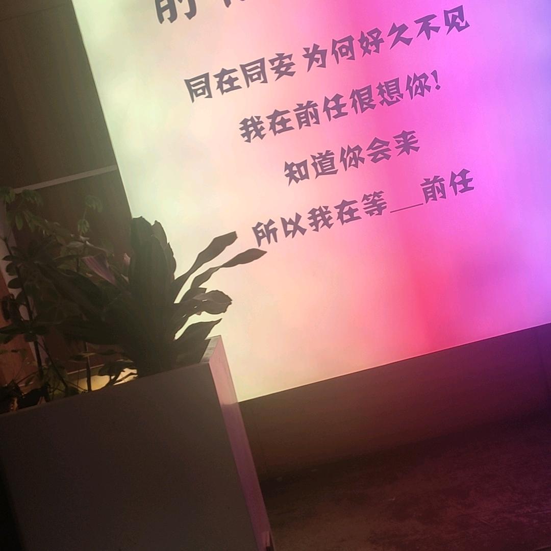 寒儿无泪