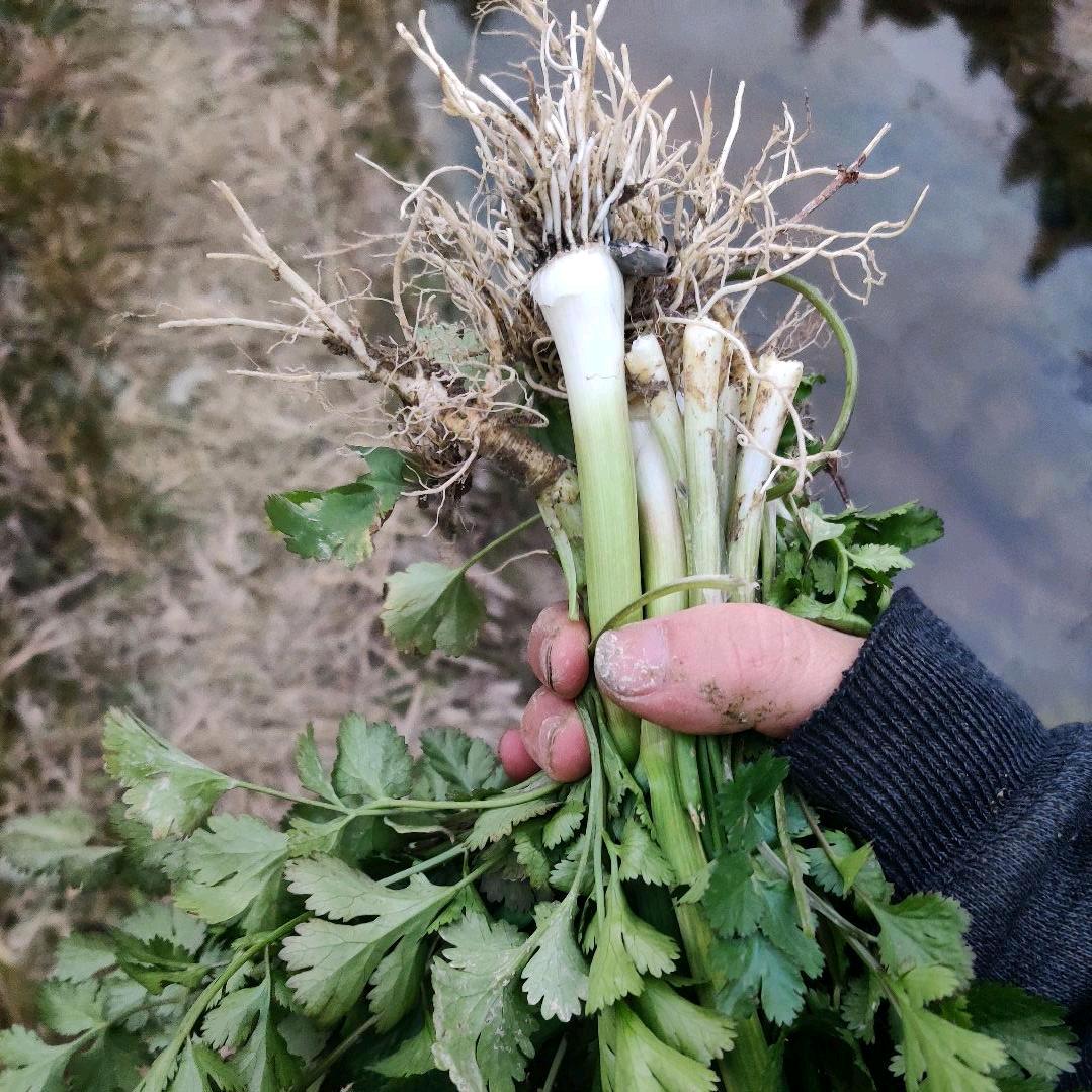 抖刀术的日常翻车现场