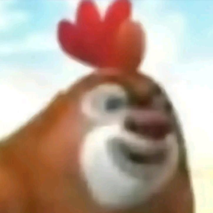 鸡大（泡沫壳版）