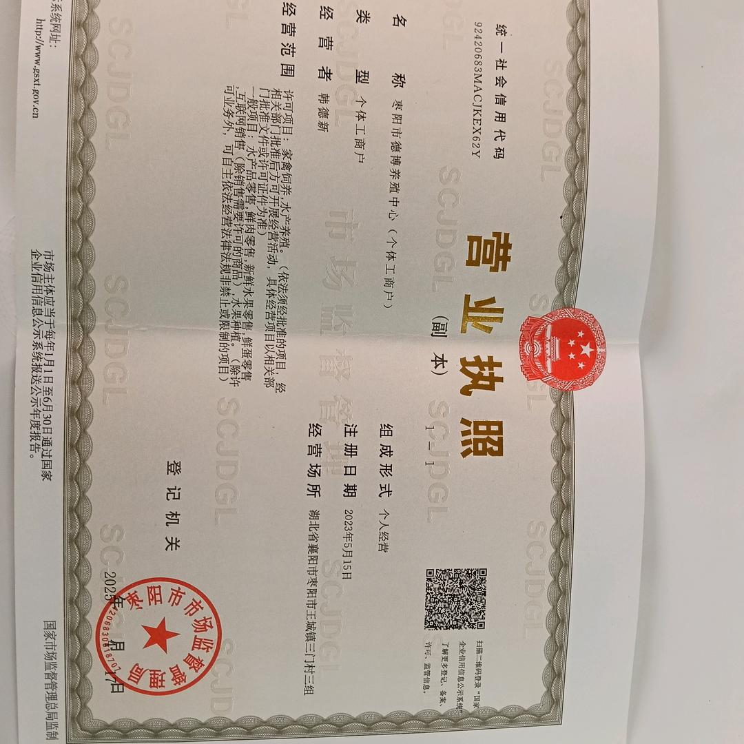 老韩