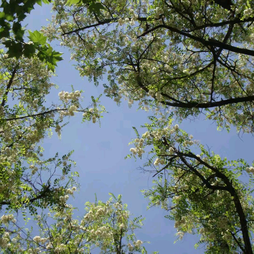 小生，这厢有礼了