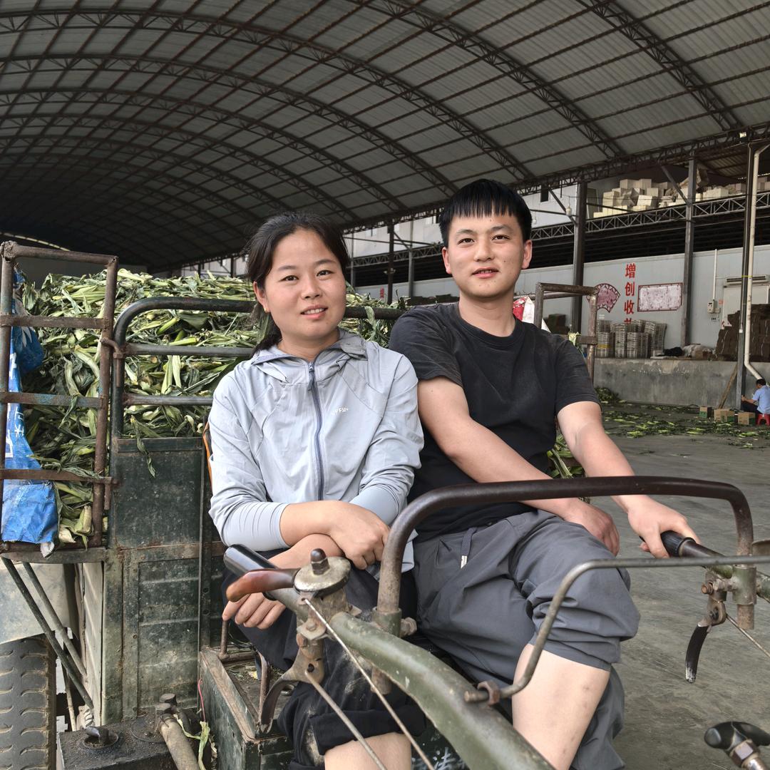 刘敢敢