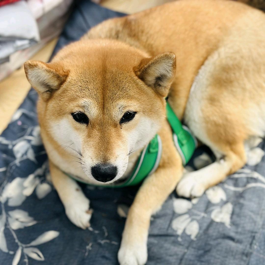 三氧化二铁