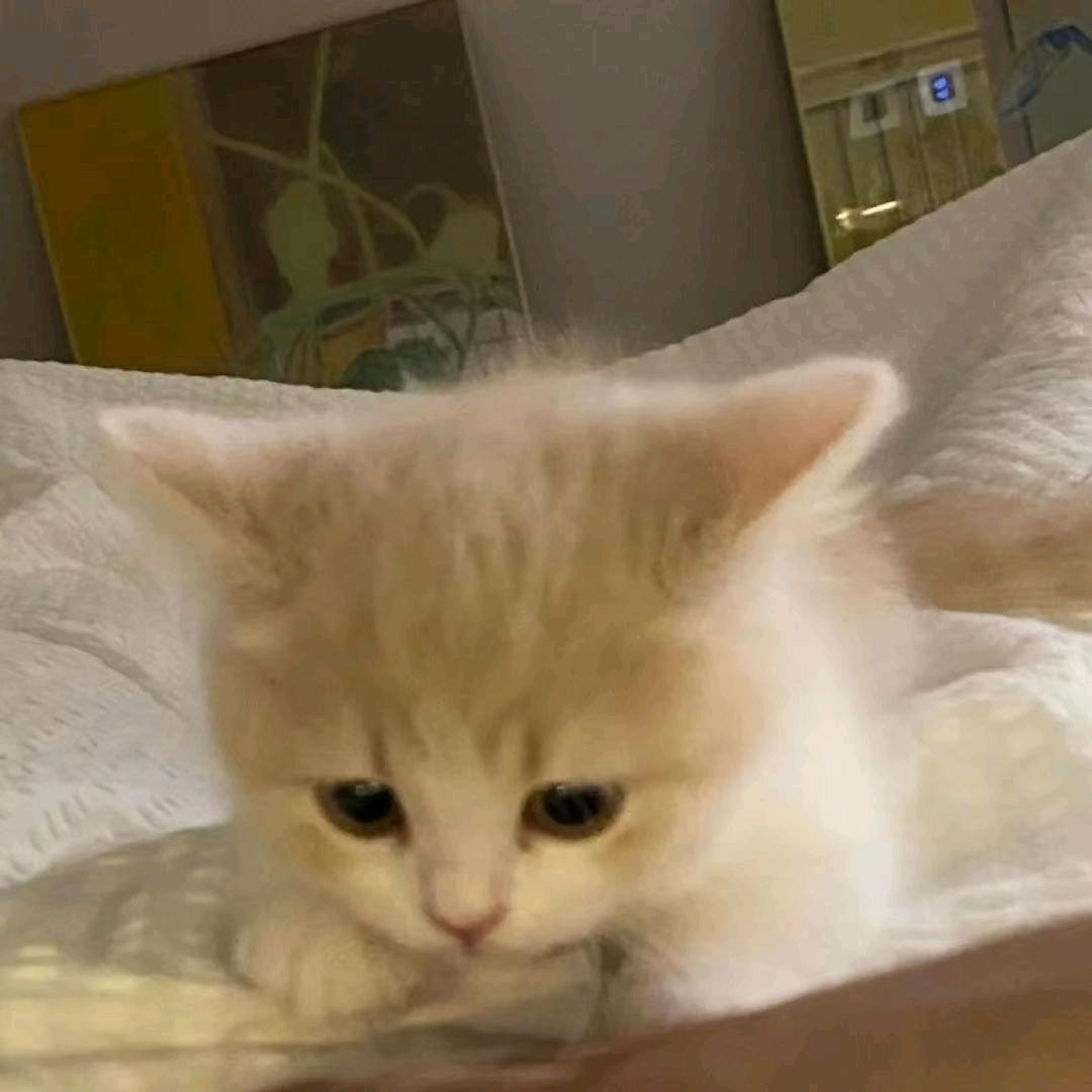 就是很困