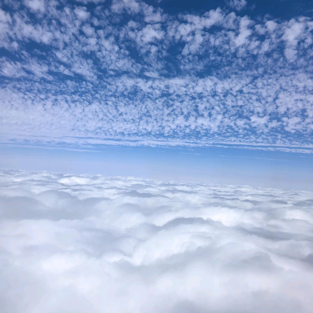 酱酱的小宝❤️