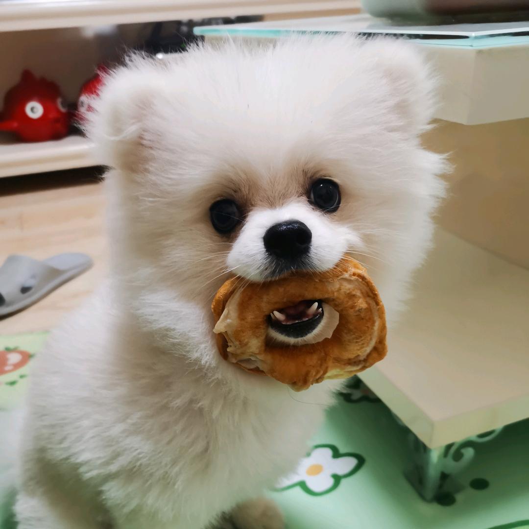 潇洒一派 永不言败