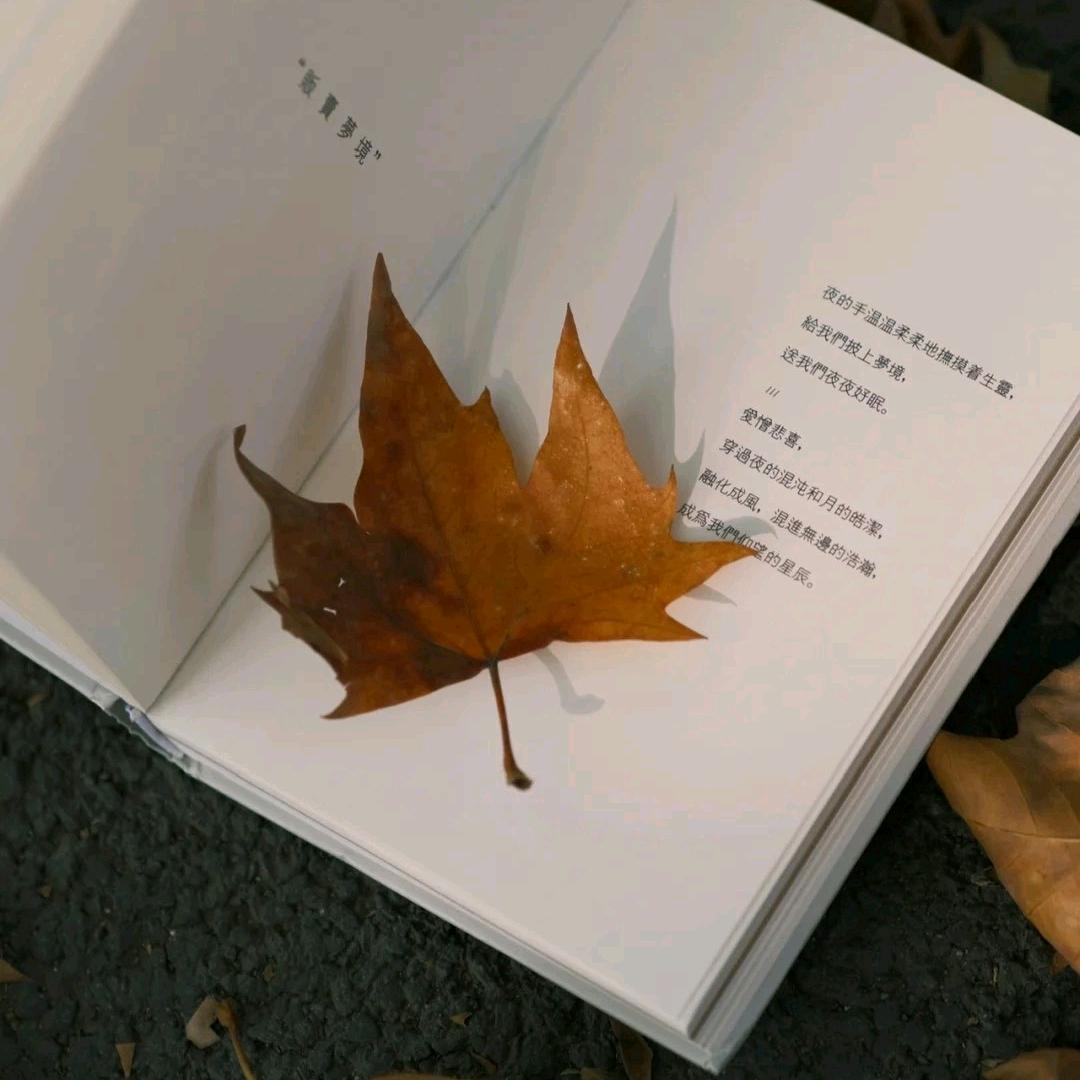 树叶与煎饼果子