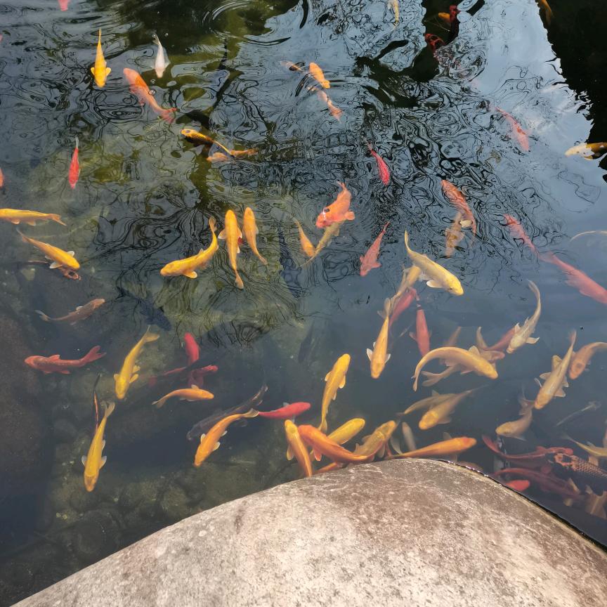糊涂点好