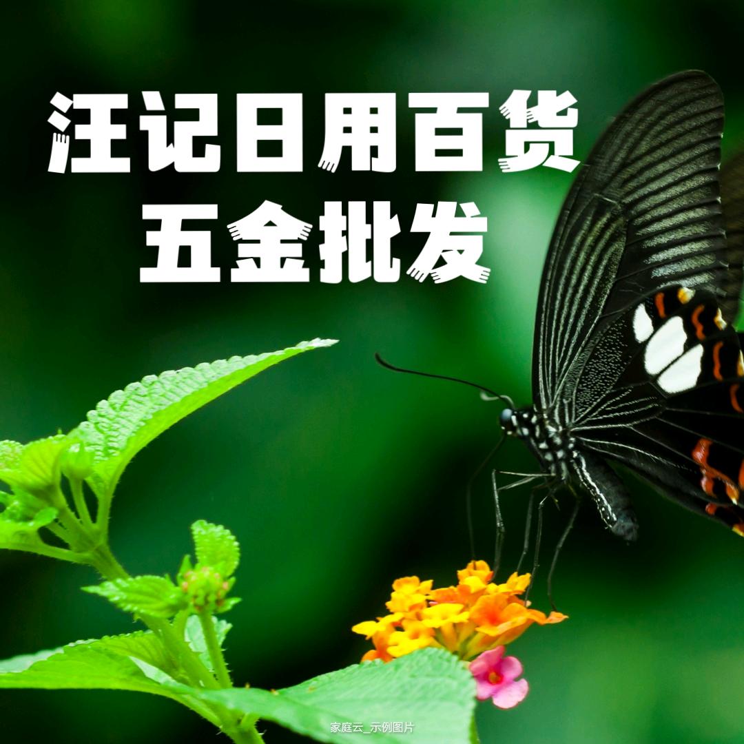 九江汪记日用百货五金批发