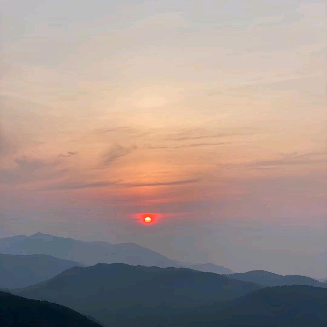 骑着毛驴闯红灯