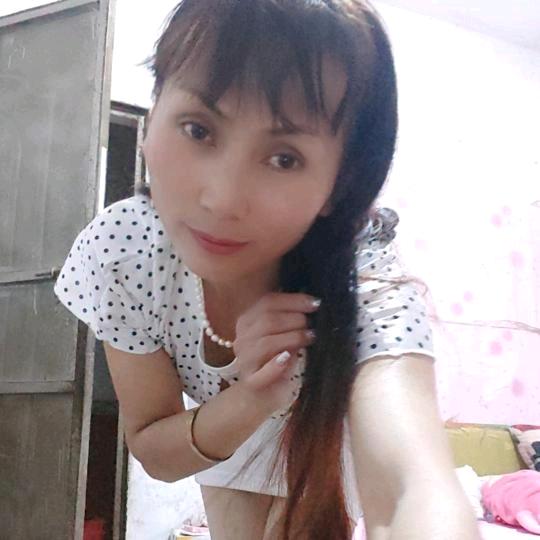 落连花的蝶