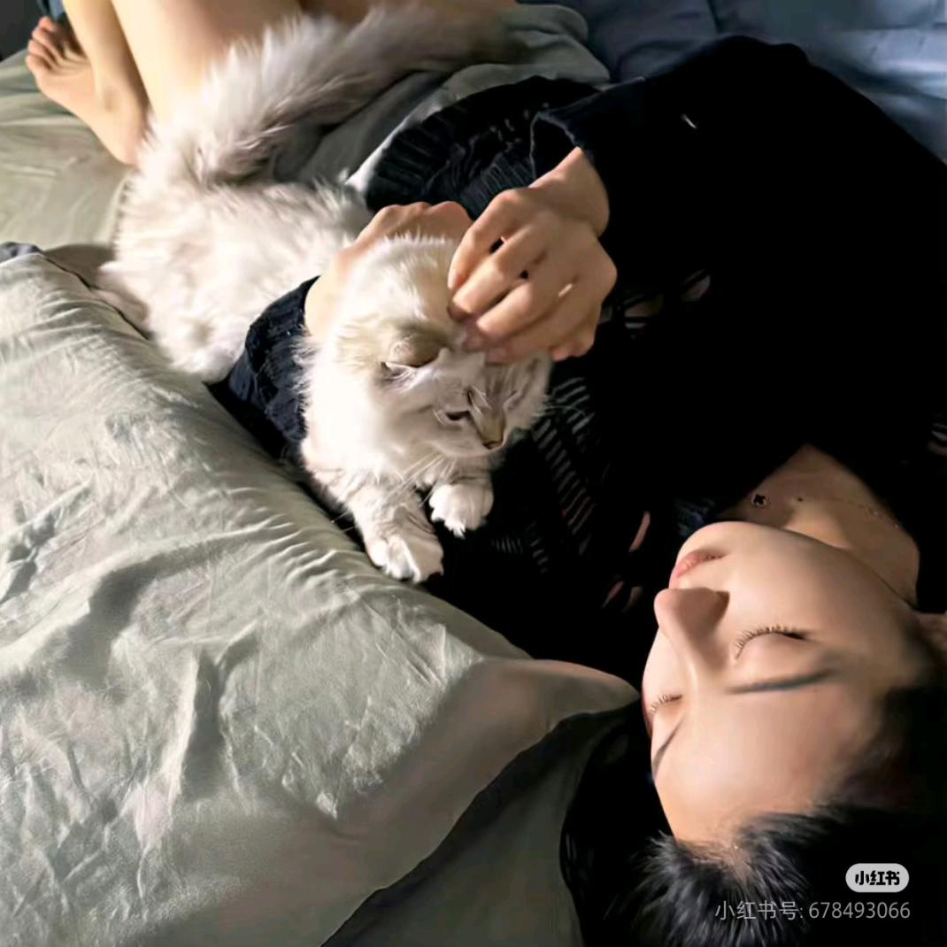 @川菜不加辣🏸