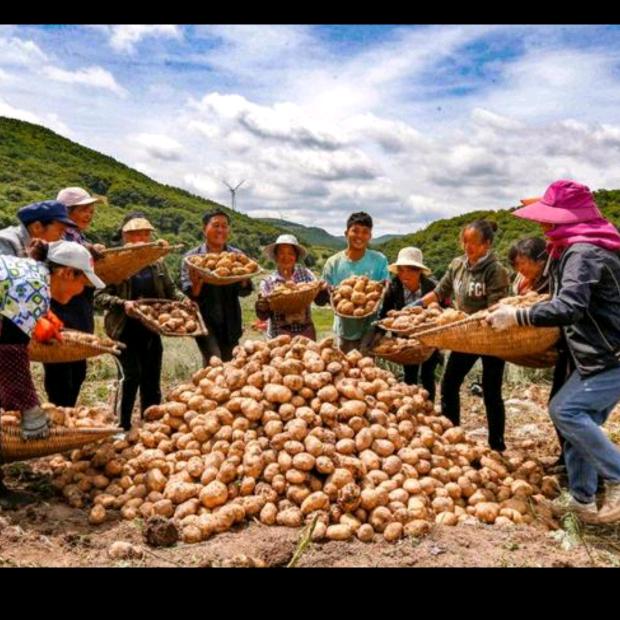 惠民土特产