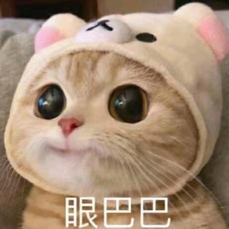 少年登🌝