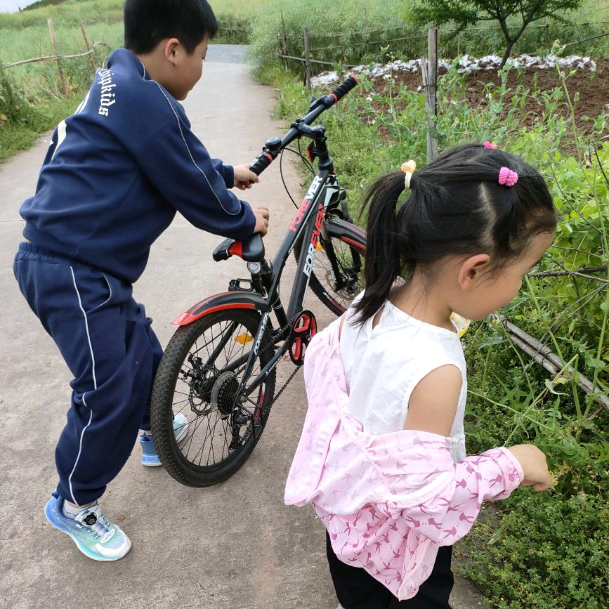 A柔丫，妞宝