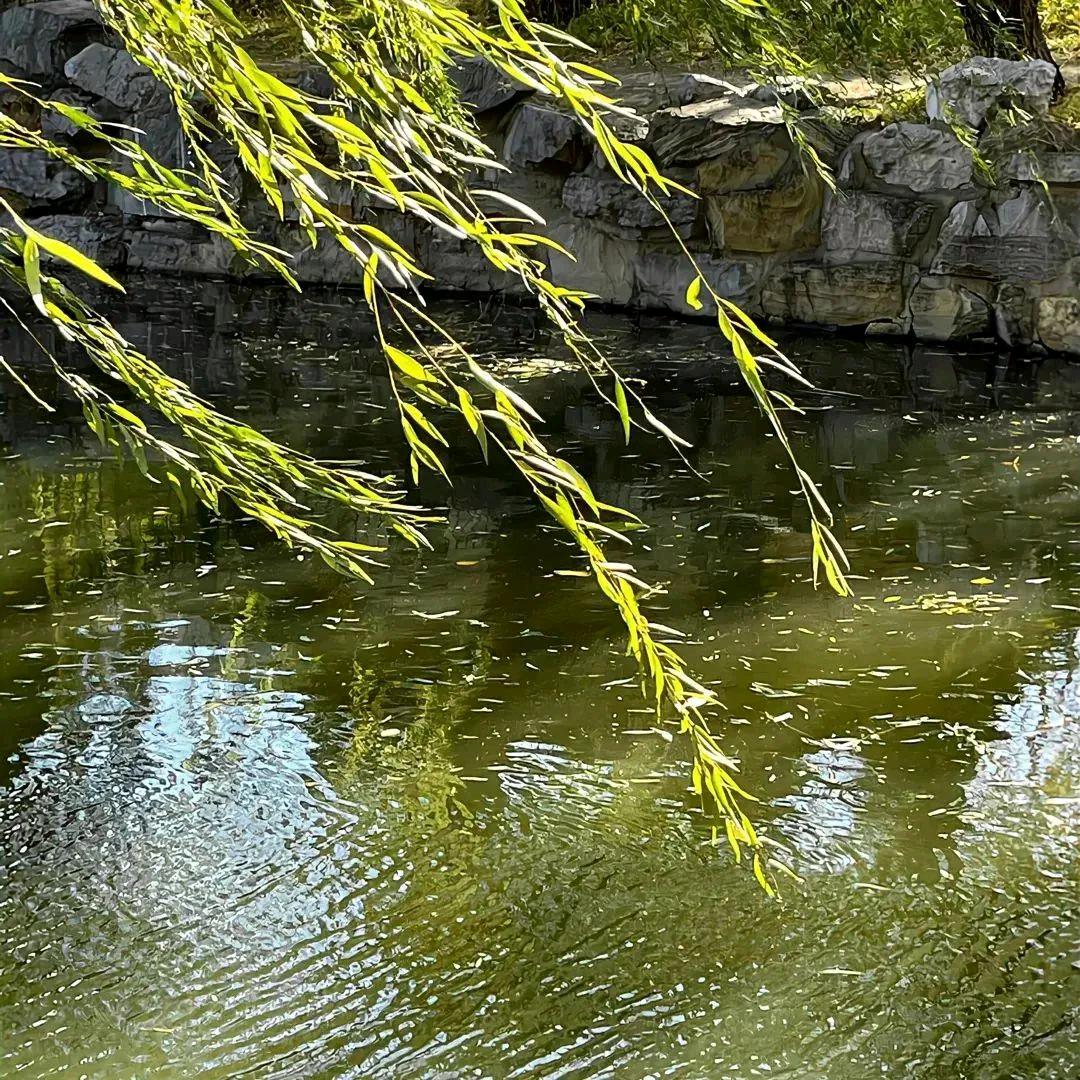 风雨