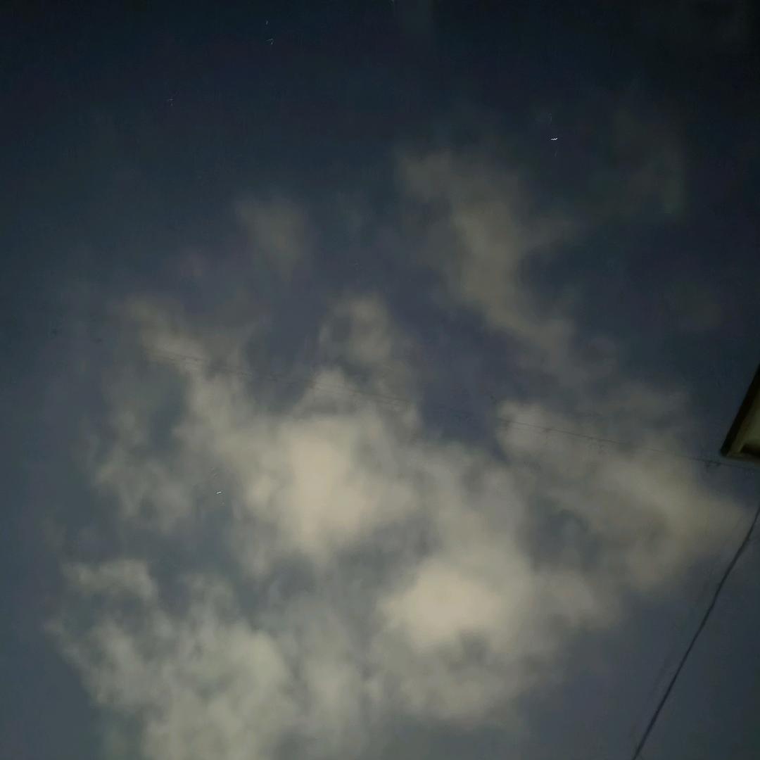 孤鸟