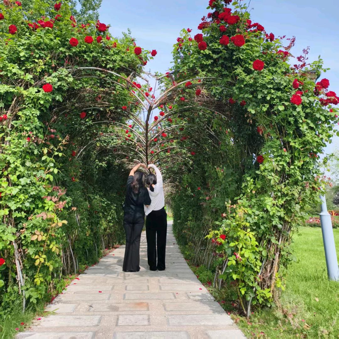 @依琳(卖酒小阿姨)