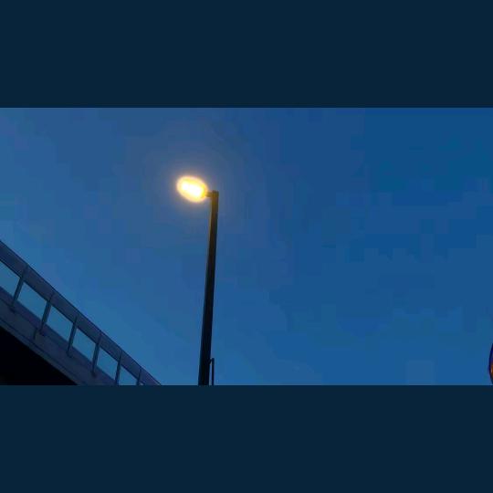 我🌟小🦁️