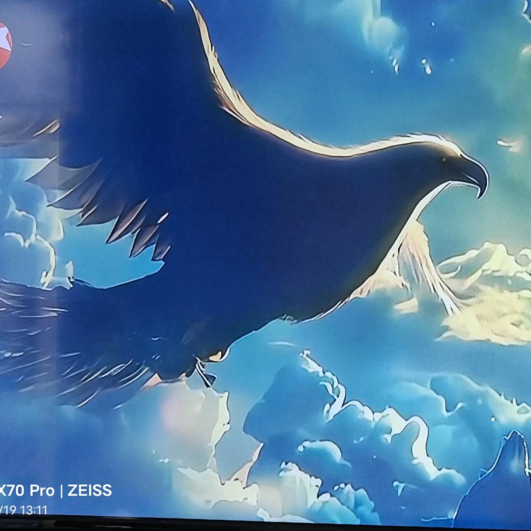 漂泊