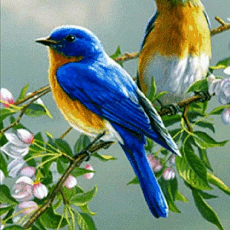 @湘粤双月湾冬哥《12月22日生日庆》