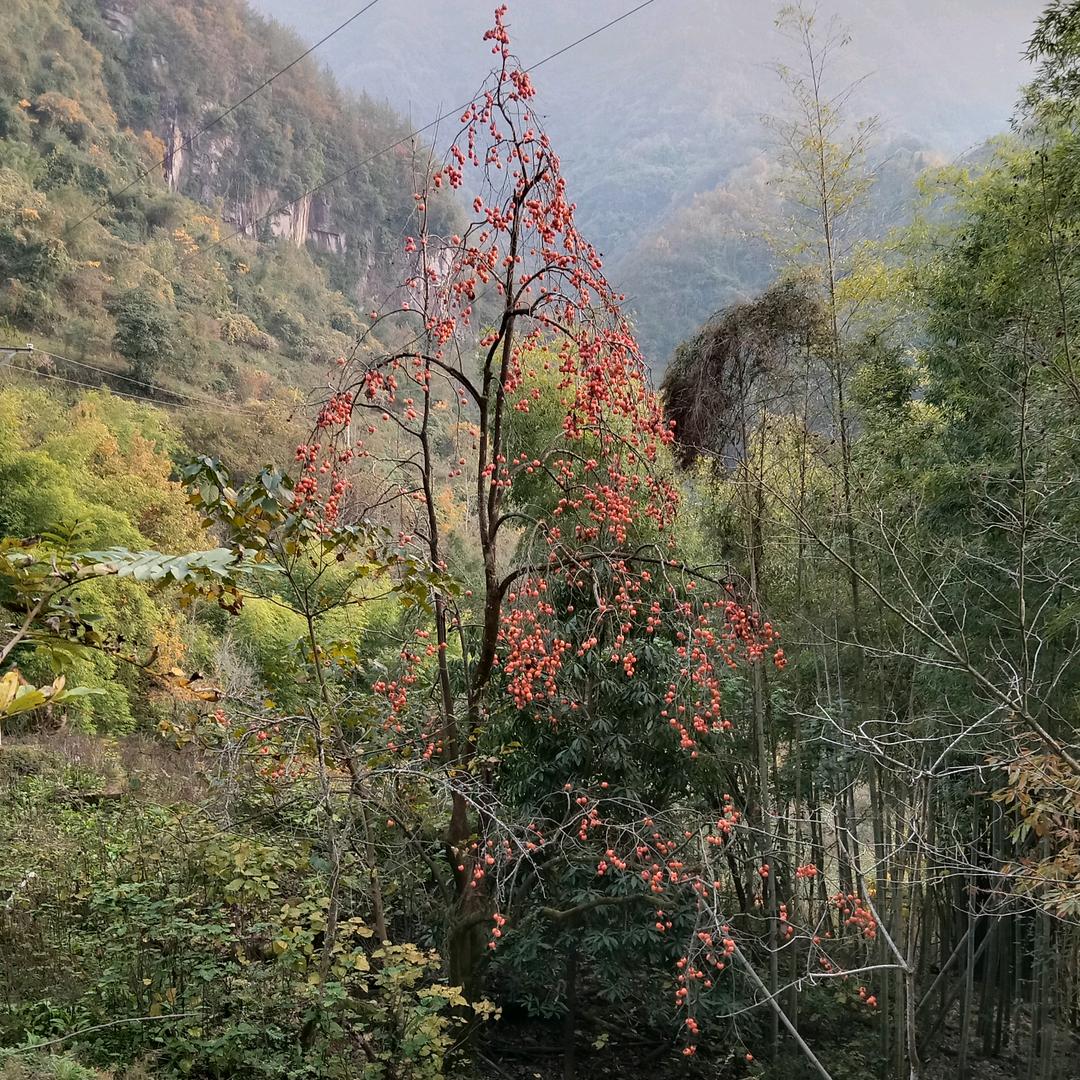 回忆过去