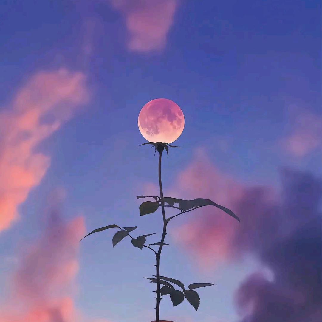 小明玩游戏啦