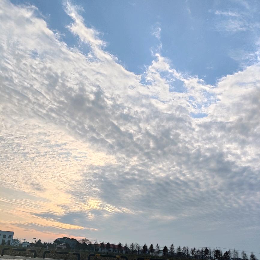 @💗᭄夏末ᝰ之殇ꦿ໌ᮨ💕 ꧔ꦿ᭄: