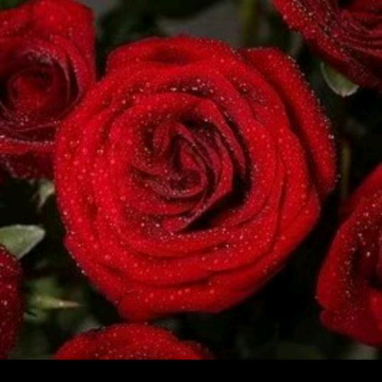 青春作伴   美好时光