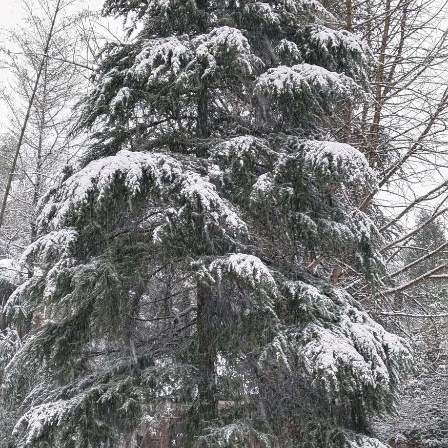 ꧁伍ℒℴѵℯ段¹³¹⁴꧂