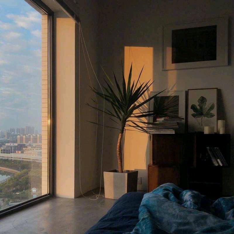 edge studio 边缘工作室