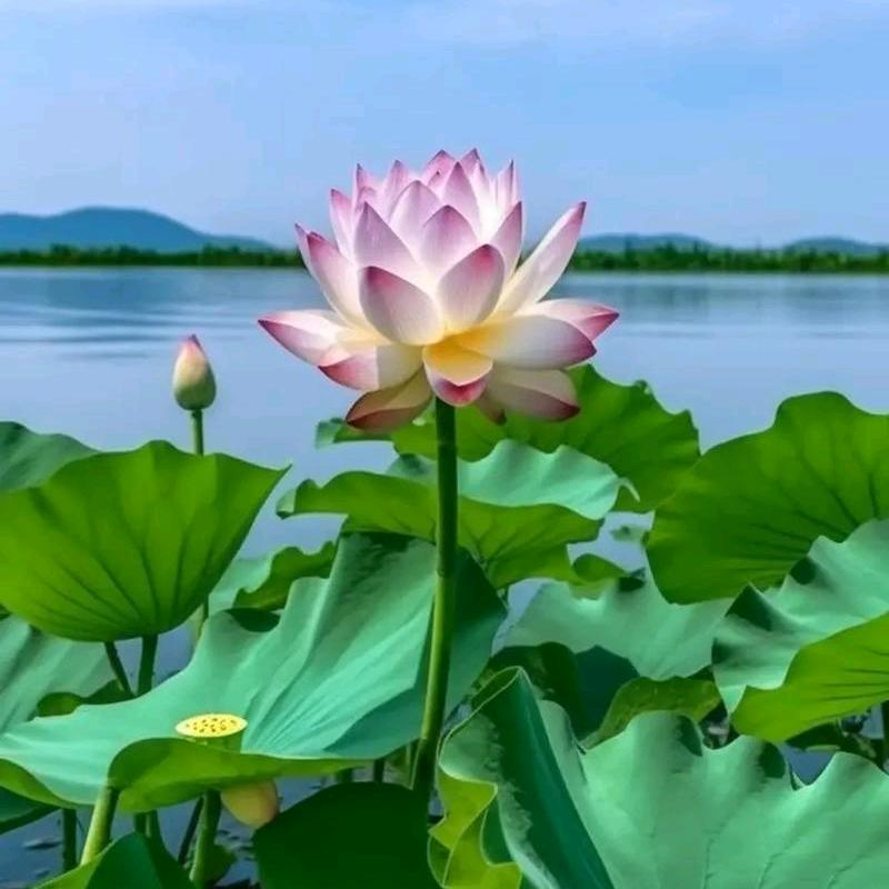 @ঞᩚ᭄一直在ৡ等你~꧔ꦿ᭄✾