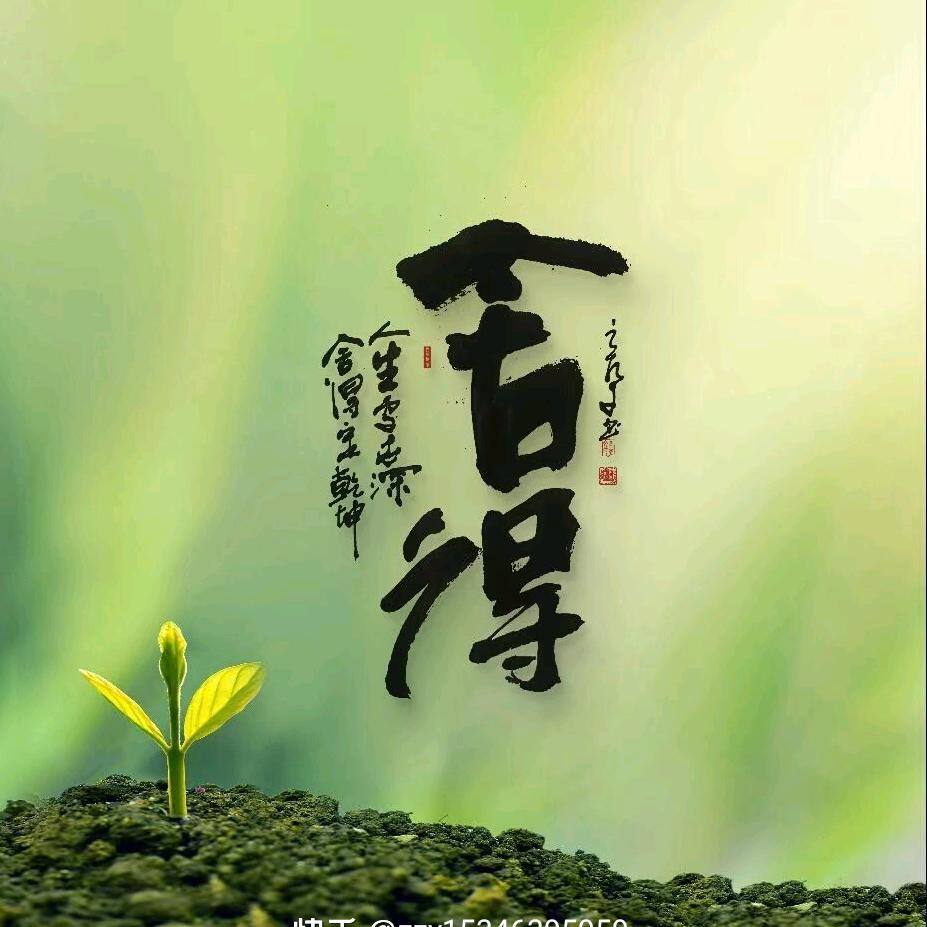 干装修的小胖墩