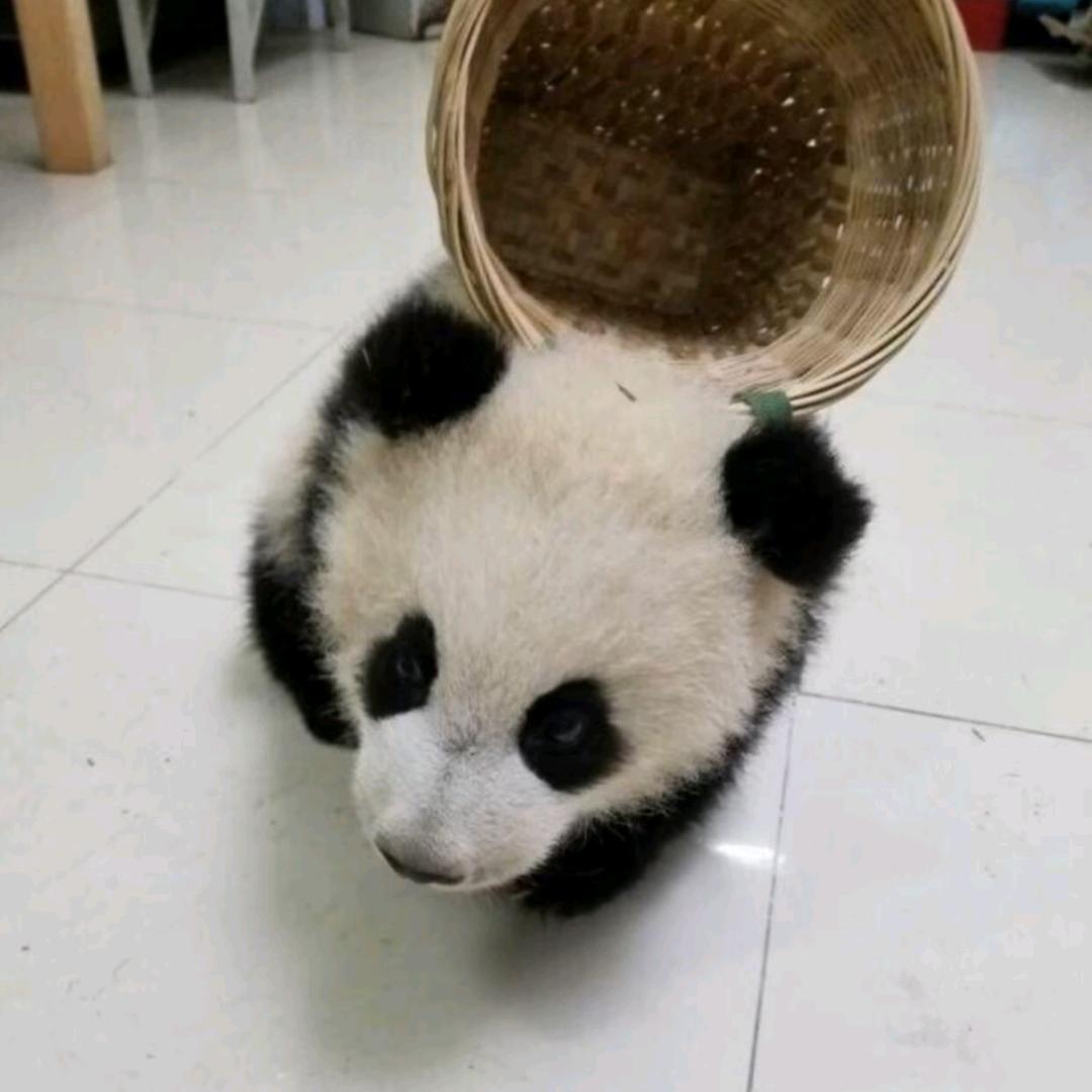 平安是福