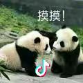 麦兜