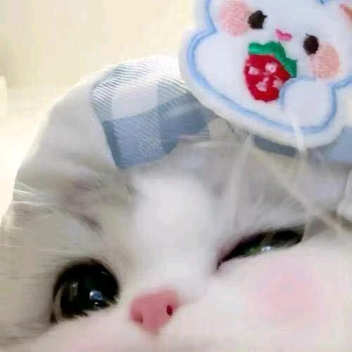 悲伤羊肉串