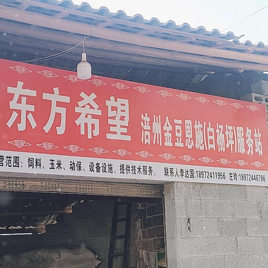 东方希望