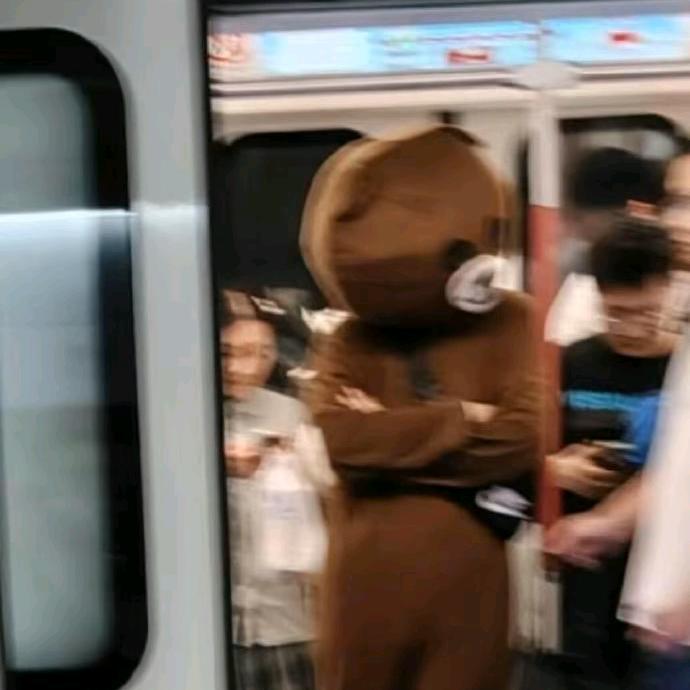 葡萄枝