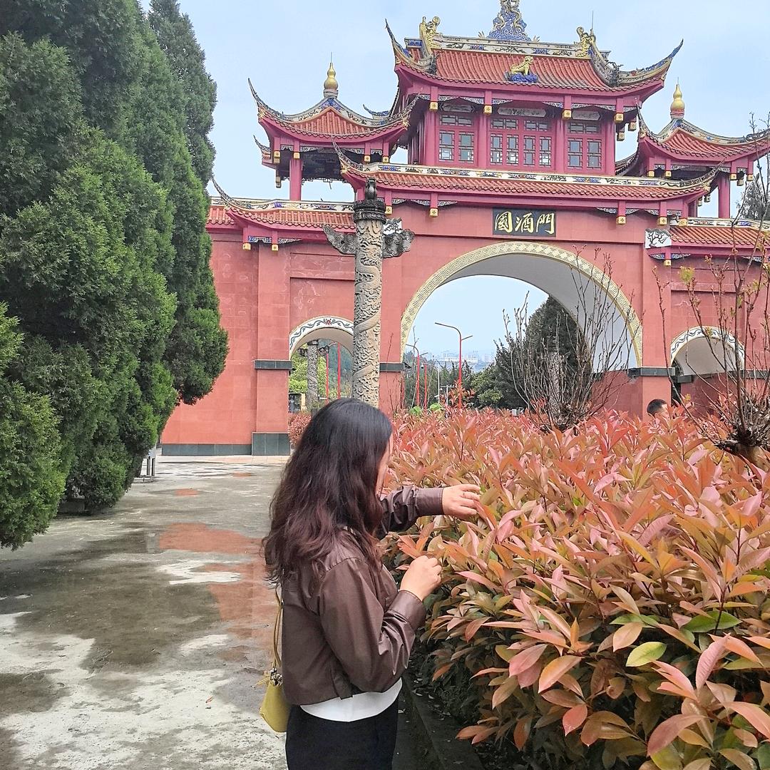 茅台  慢慢姐
