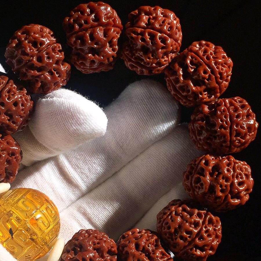 天然籽金刚菩提