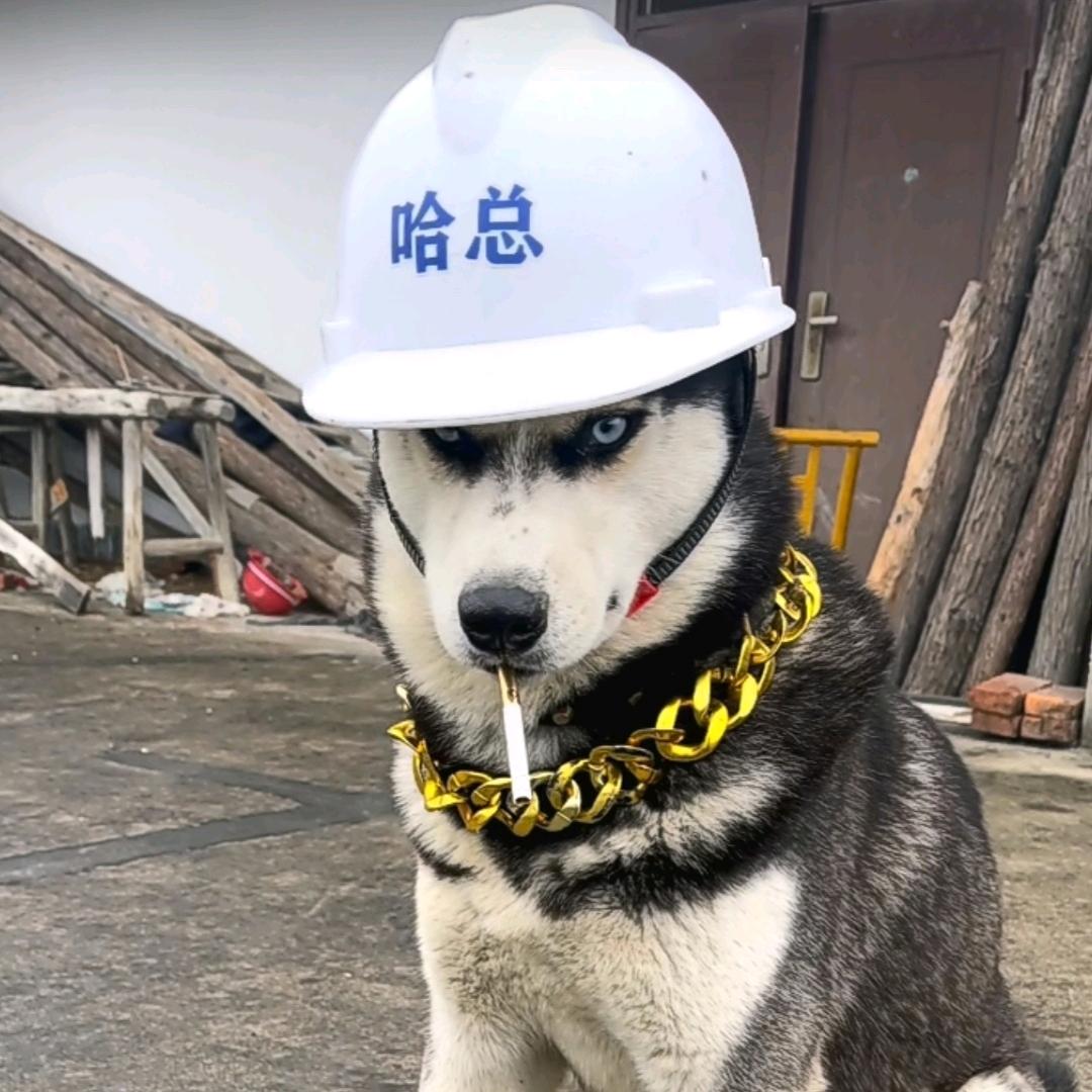 人才兴邦，科技卫国